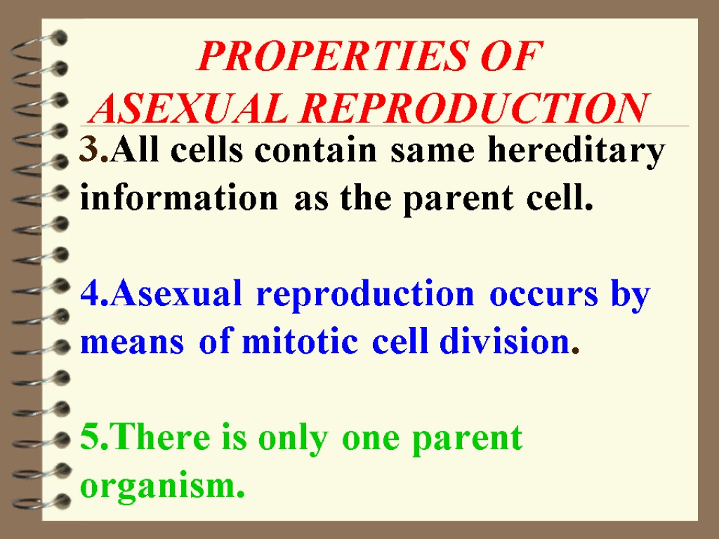3.All cells contain same hereditary information as the parent cell. 4.Asexual reproduction occurs by